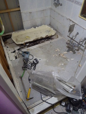 IMGP3677 IMGP3677-e1629535652341